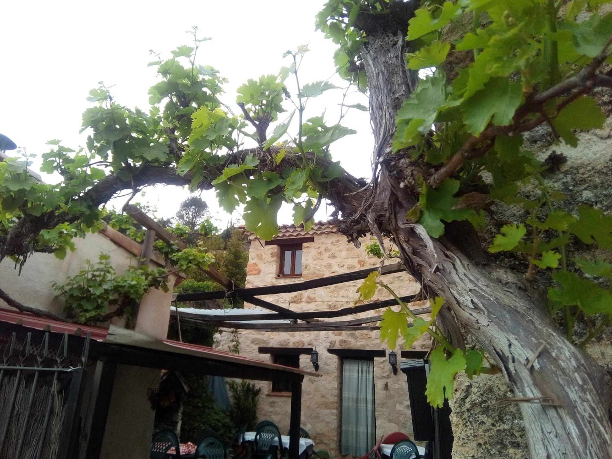 Posada Del Dulce Sueno Mojares Εξωτερικό φωτογραφία